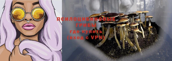 хмурый Абаза