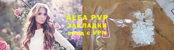 хмурый Абаза