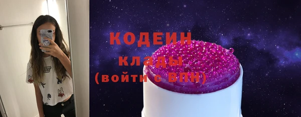хмурый Абаза