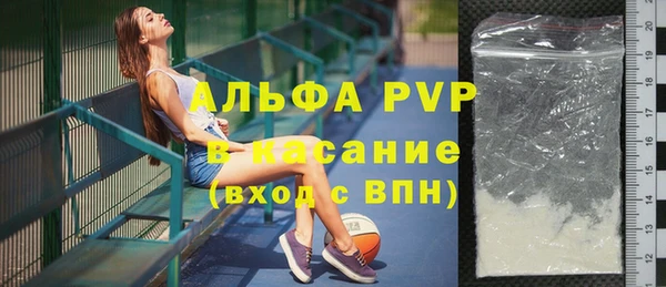 хмурый Абаза