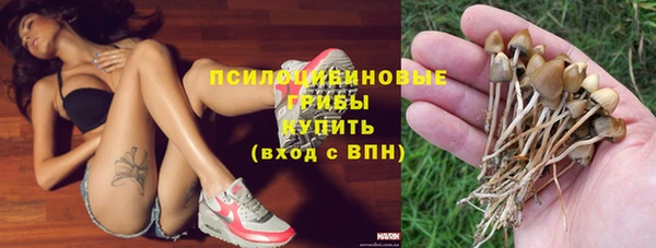 трава Покачи