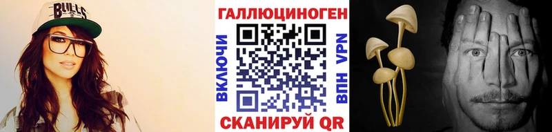где найти наркотики  Щучье  Галлюциногенные грибы мицелий 